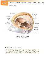 Sobotta Atlas of Human Anatomy  Head,Neck,Upper Limb Volume1 2006, page 269